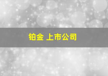 铂金 上市公司